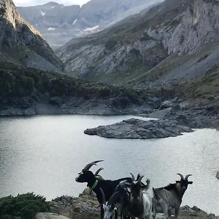 Gavarnie Résidence Les 3 Cirques