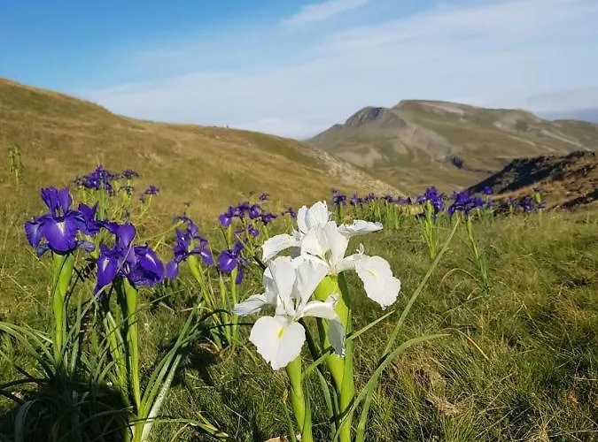 Gavarnie Résidence Les 3 Cirques