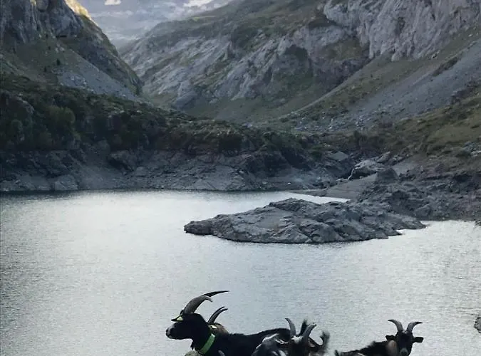 Gavarnie Résidence Les 3 Cirques